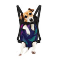 Colorful Feather Pattern Print Pet Carrier Backpack