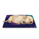 Colorful Feather Pattern Print Pet Cooling Mat Cover