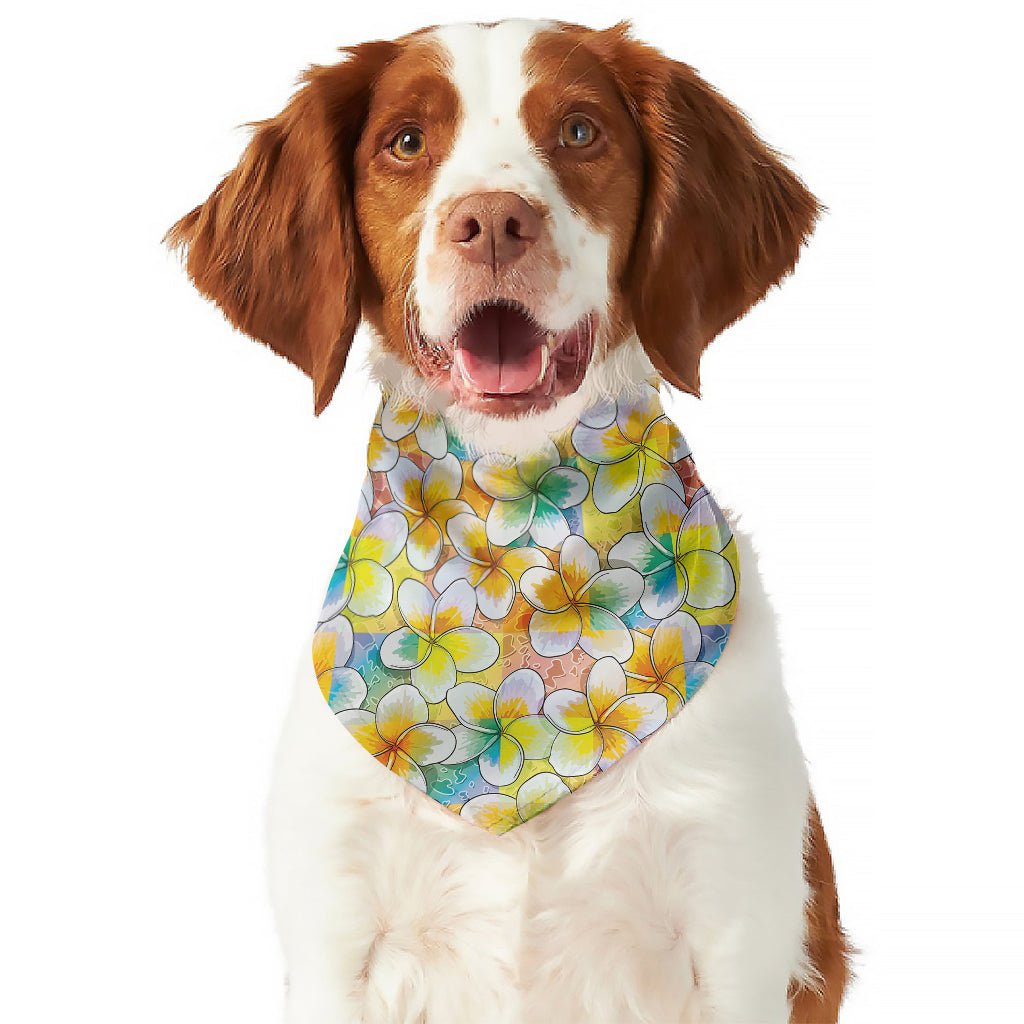 Colorful Frangipani Pattern Print Dog Bandana