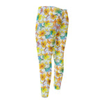 Colorful Frangipani Pattern Print Men's Compression Pants