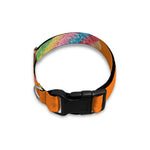 Colorful Gummy Print Dog Collar