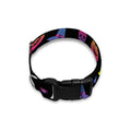 Colorful Halloween Party Pattern Print Dog Collar
