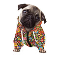 Colorful Hippie Peace Symbols Print Dog Zip Up Hoodie