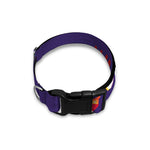 Colorful Joker Why So Serious Print Dog Collar