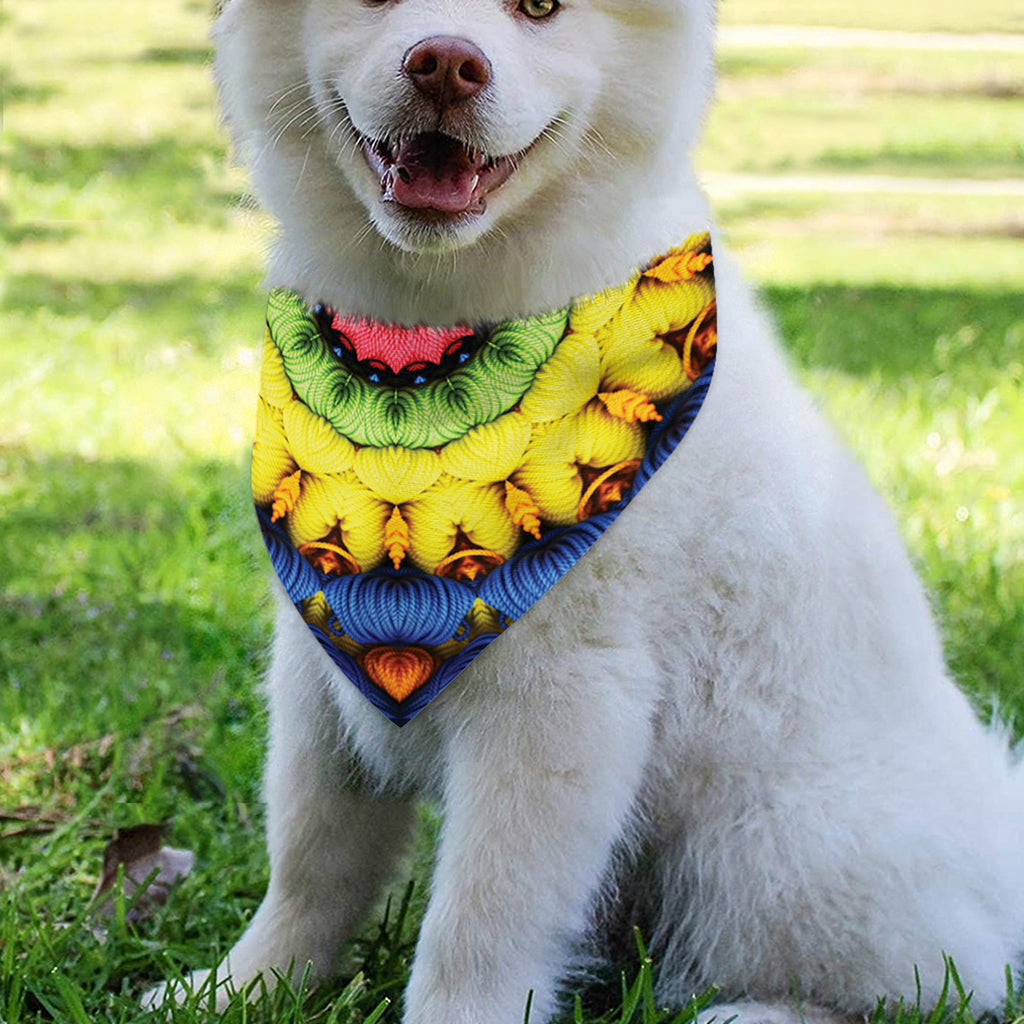 Colorful Kaleidoscope Print Over The Collar Dog Bandana