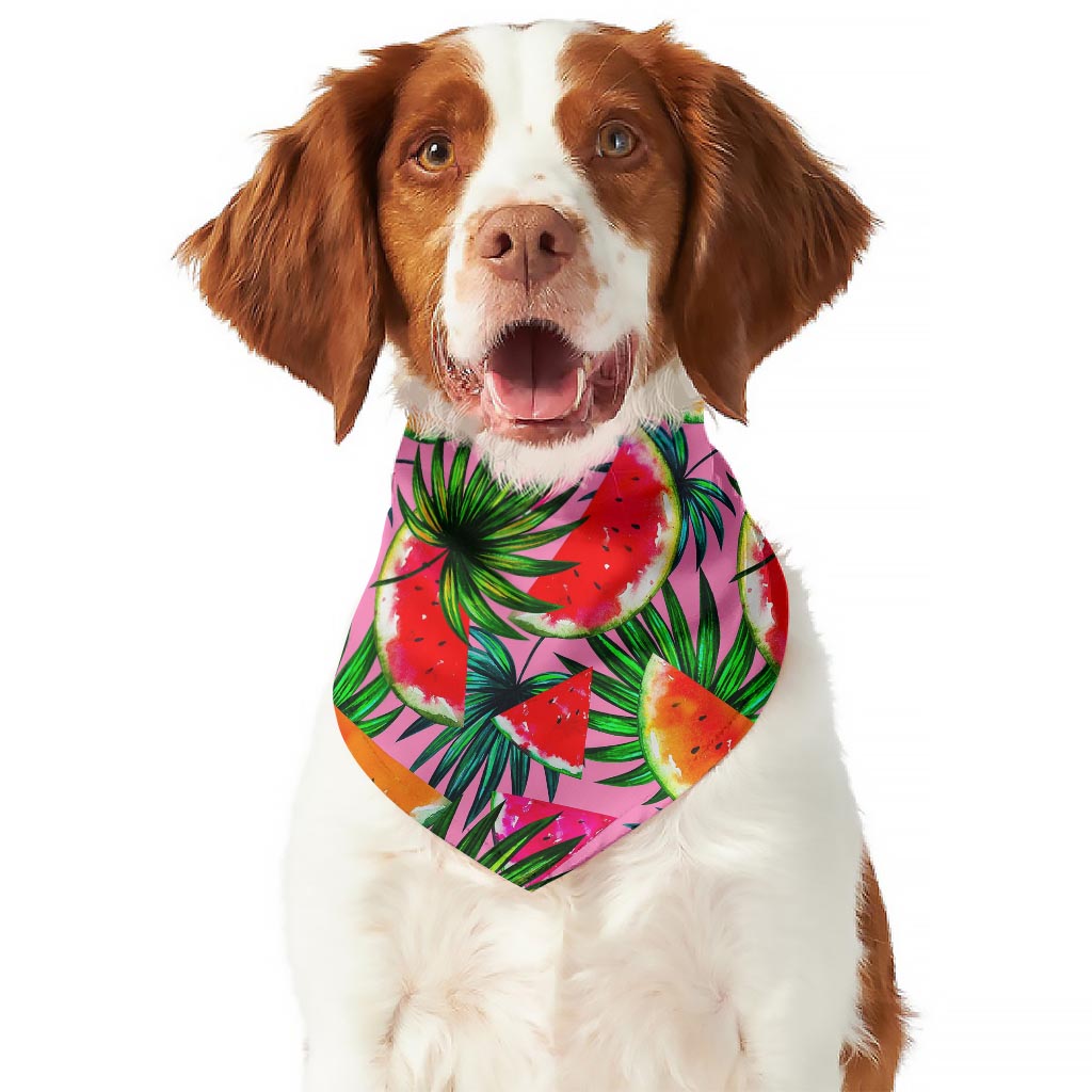 Colorful Leaf Watermelon Pattern Print Dog Bandana