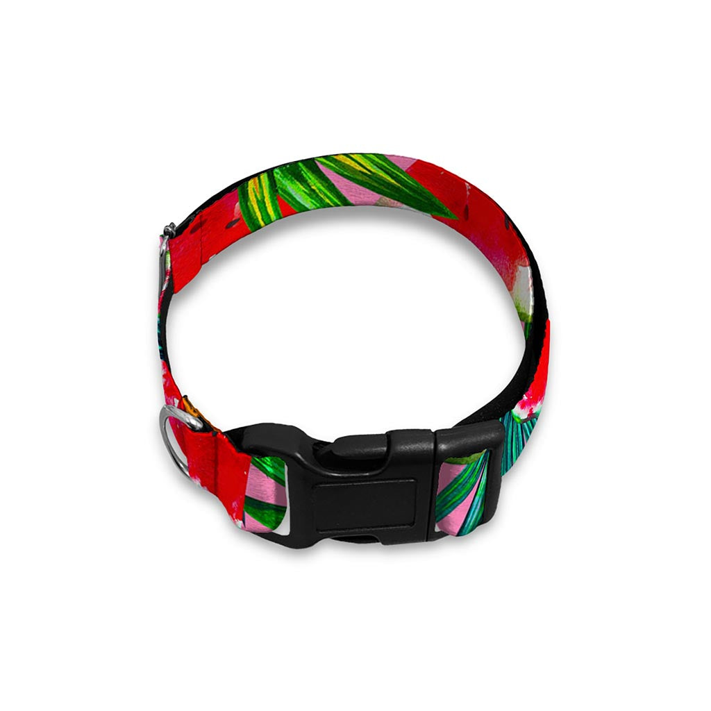 Colorful Leaf Watermelon Pattern Print Dog Collar