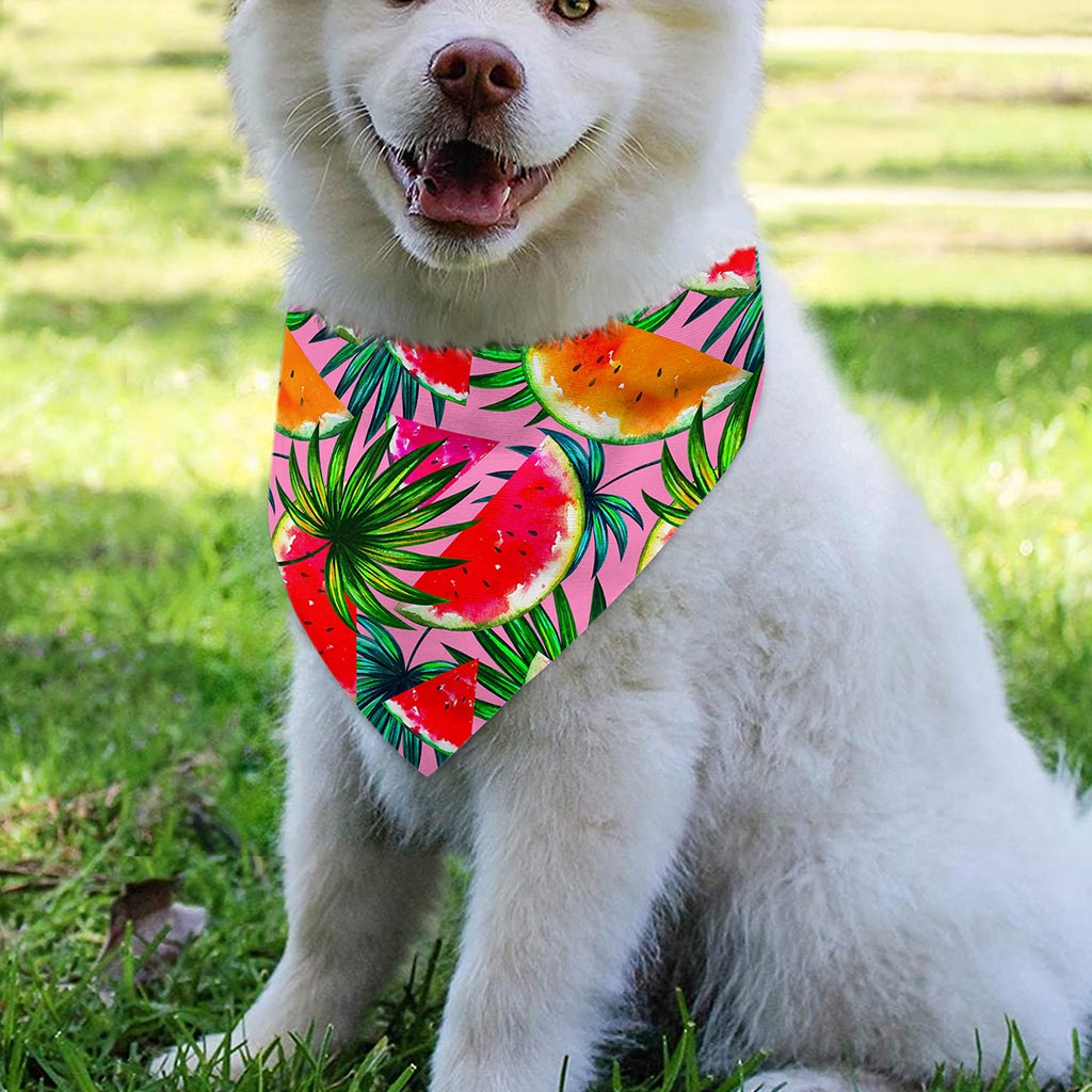 Colorful Leaf Watermelon Pattern Print Over The Collar Dog Bandana