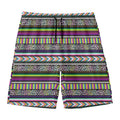 Colorful Leopard Navajo Tribal Print Men's Swim Trunks
