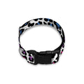 Colorful Leopard Print Dog Collar