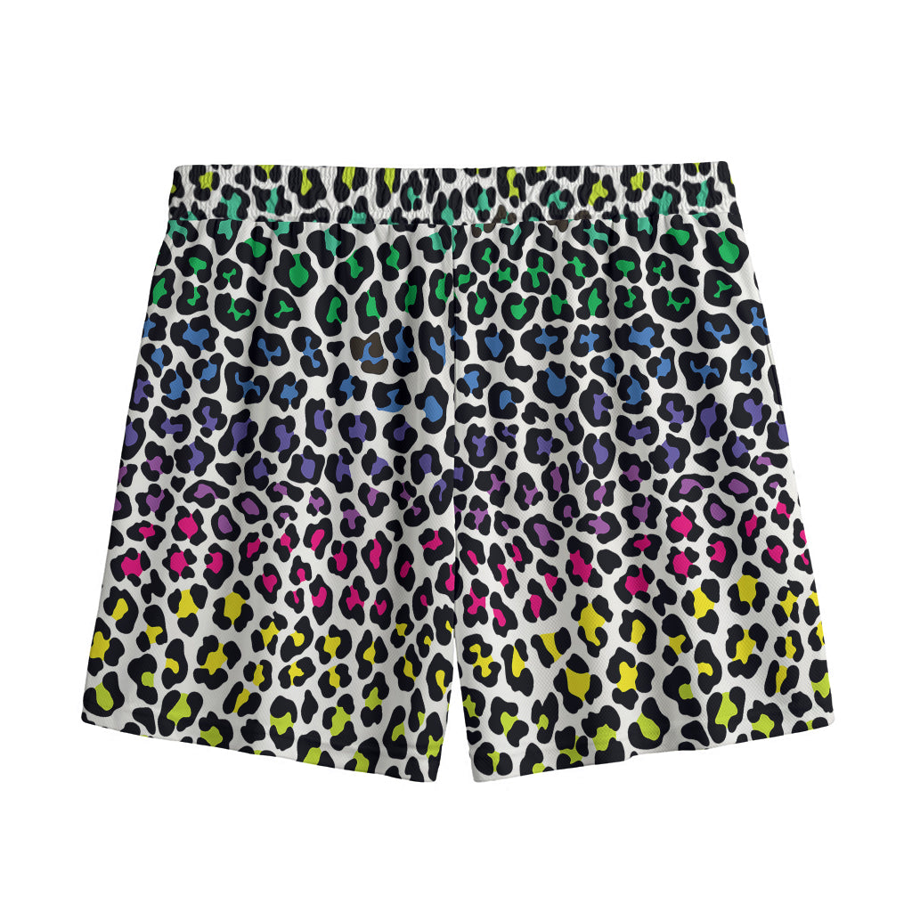Colorful Leopard Print Mesh Shorts