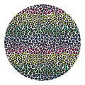 Colorful Leopard Print Round Blanket