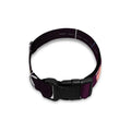 Colorful Libra Sign Print Dog Collar