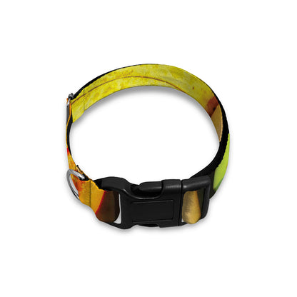 Colorful Macarons Print Dog Collar