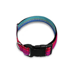Colorful Mexican Serape Pattern Print Dog Collar
