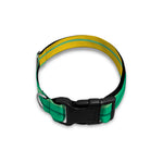 Colorful Mexican Serape Stripe Print Dog Collar