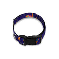 Colorful Origami Bird Pattern Print Dog Collar