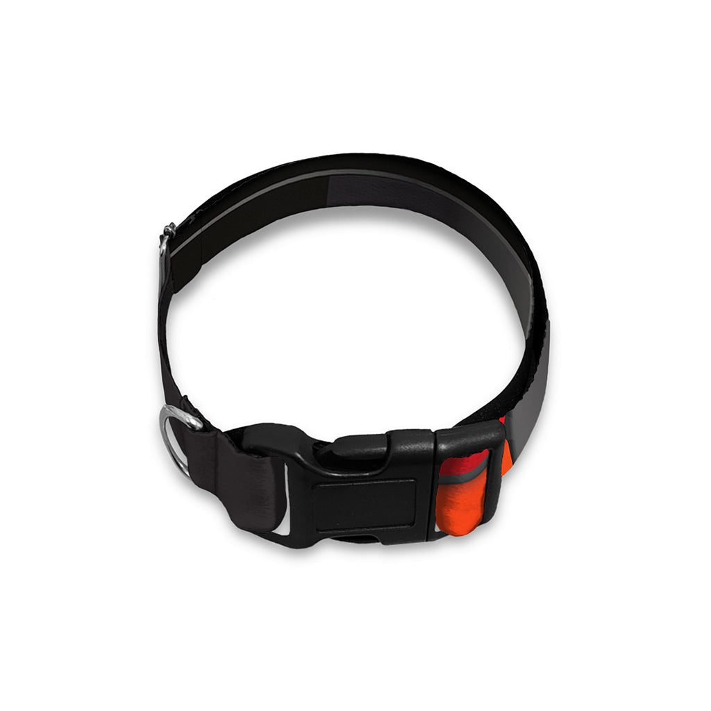 Colorful Piano Keyboard Print Dog Collar