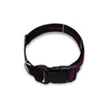 Colorful Pisces Sign Print Dog Collar