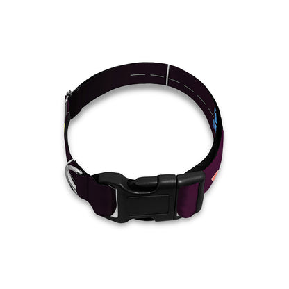 Colorful Pisces Sign Print Dog Collar