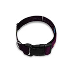 Colorful Pisces Sign Print Dog Collar