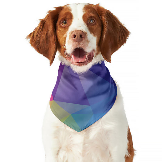 Colorful Polygonal Geometric Print Dog Bandana