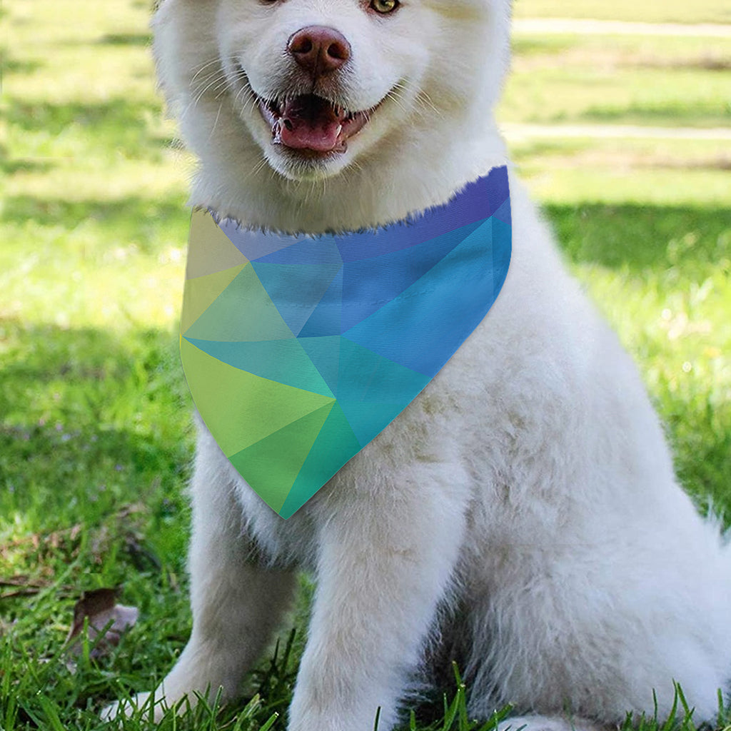 Colorful Polygonal Geometric Print Over The Collar Dog Bandana