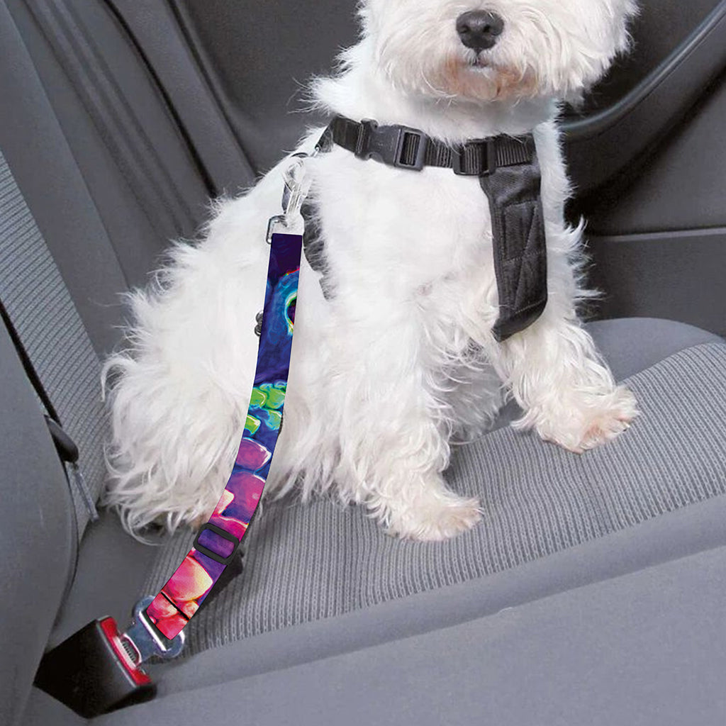 Colorful Psychedelic Kaleidoscope Print Dog Seat Belt