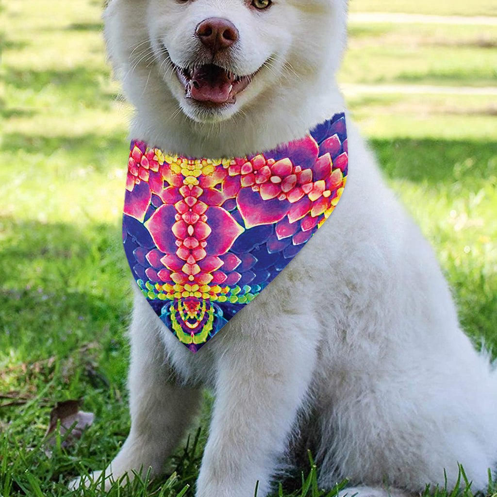 Colorful Psychedelic Kaleidoscope Print Over The Collar Dog Bandana
