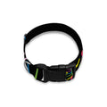 Colorful Sea Turtle Print Dog Collar