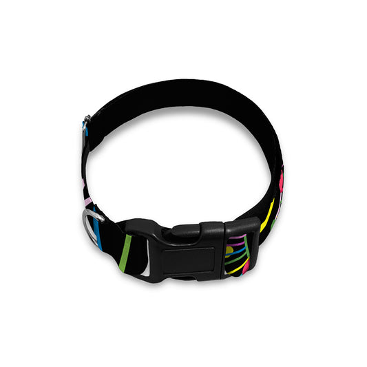 Colorful Sea Turtle Print Dog Collar