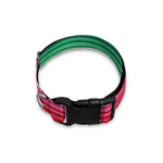 Colorful Serape Blanket Pattern Print Dog Collar