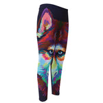 Colorful Siberian Husky Print Men's Compression Pants