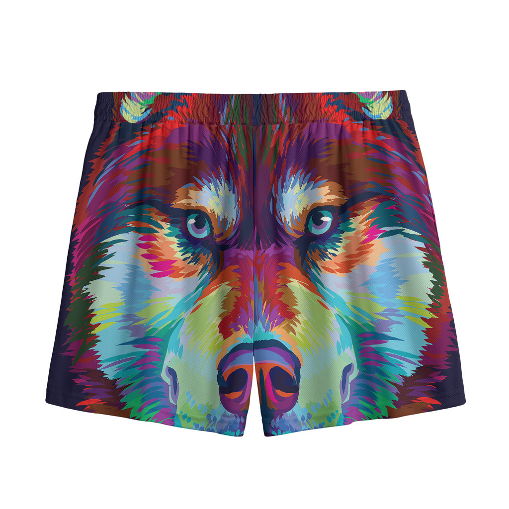 Colorful Siberian Husky Print Mesh Shorts