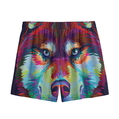 Colorful Siberian Husky Print Mesh Shorts