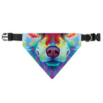 Colorful Siberian Husky Print Over The Collar Dog Bandana