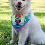 Colorful Siberian Husky Print Over The Collar Dog Bandana