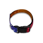 Colorful Stardust Galaxy Space Print Dog Collar