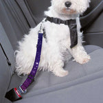Colorful Stardust Galaxy Space Print Dog Seat Belt