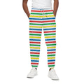 Colorful Striped Pattern Print Cotton Sweatpants