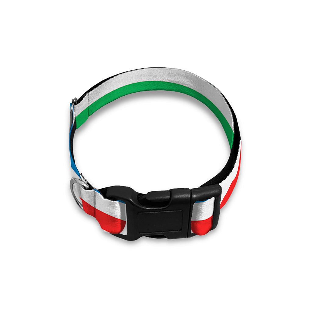 Colorful Striped Pattern Print Dog Collar