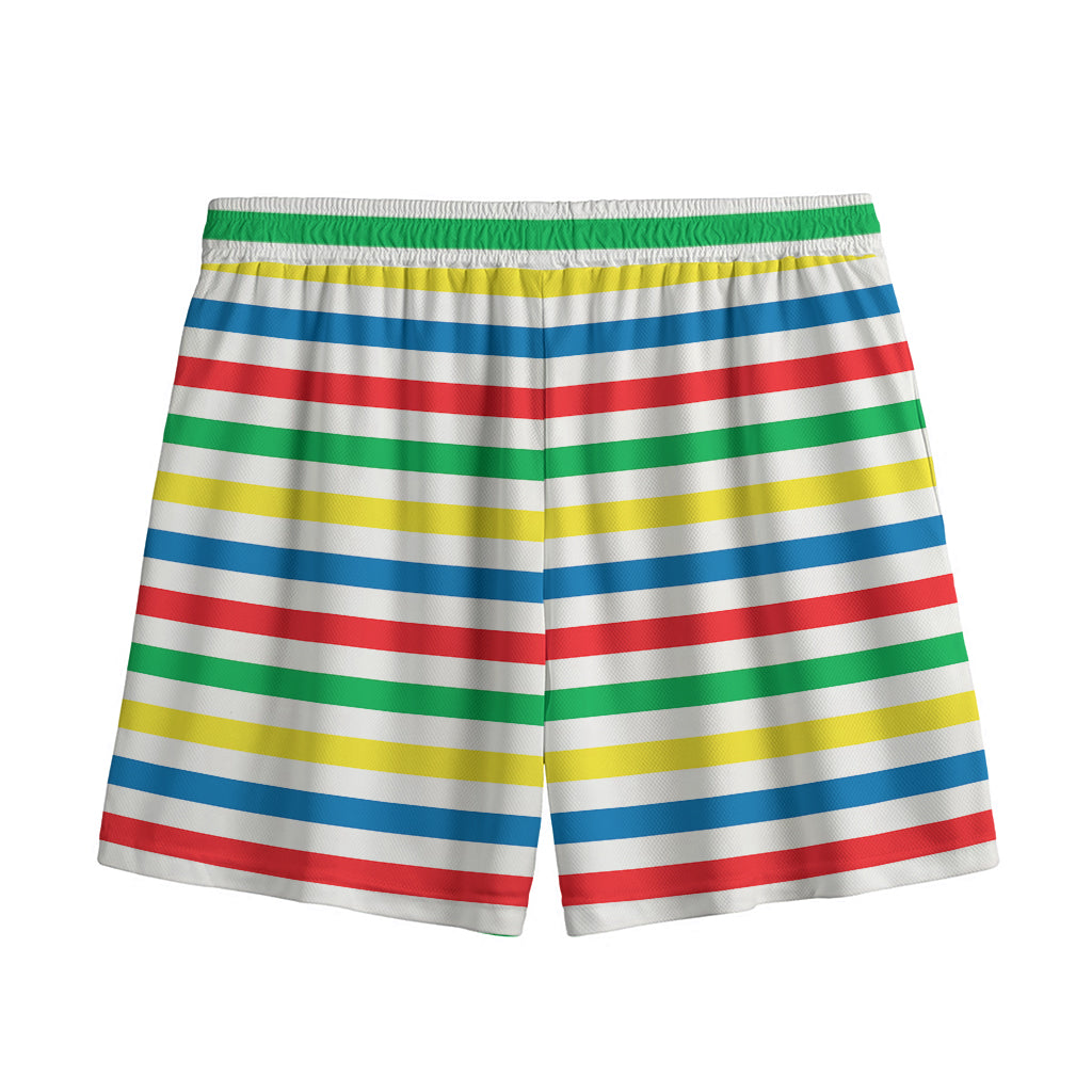 Colorful Striped Pattern Print Mesh Shorts
