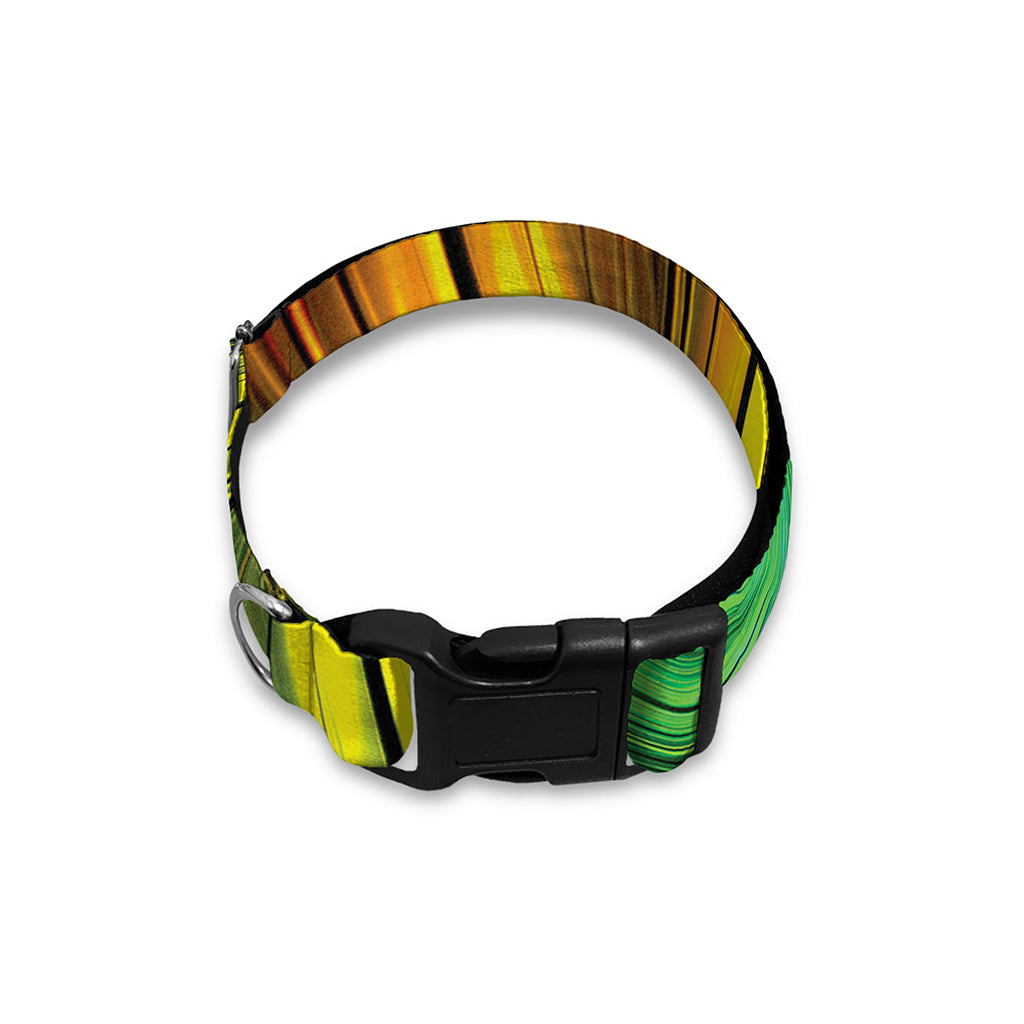 Colorful Swirl Print Dog Collar