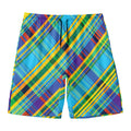 Colorful Tartan Pattern Print Men's Swim Trunks