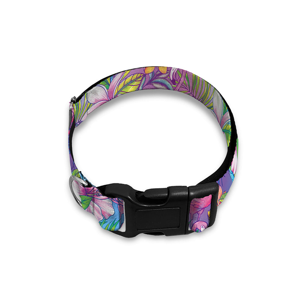 Colorful Tropical Flamingo Print Dog Collar