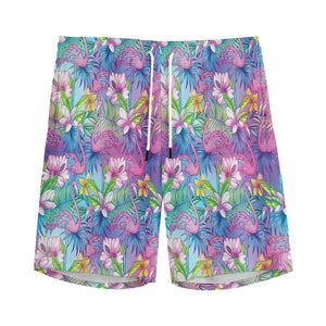 Colorful Tropical Flamingo Print Men's Sports Shorts