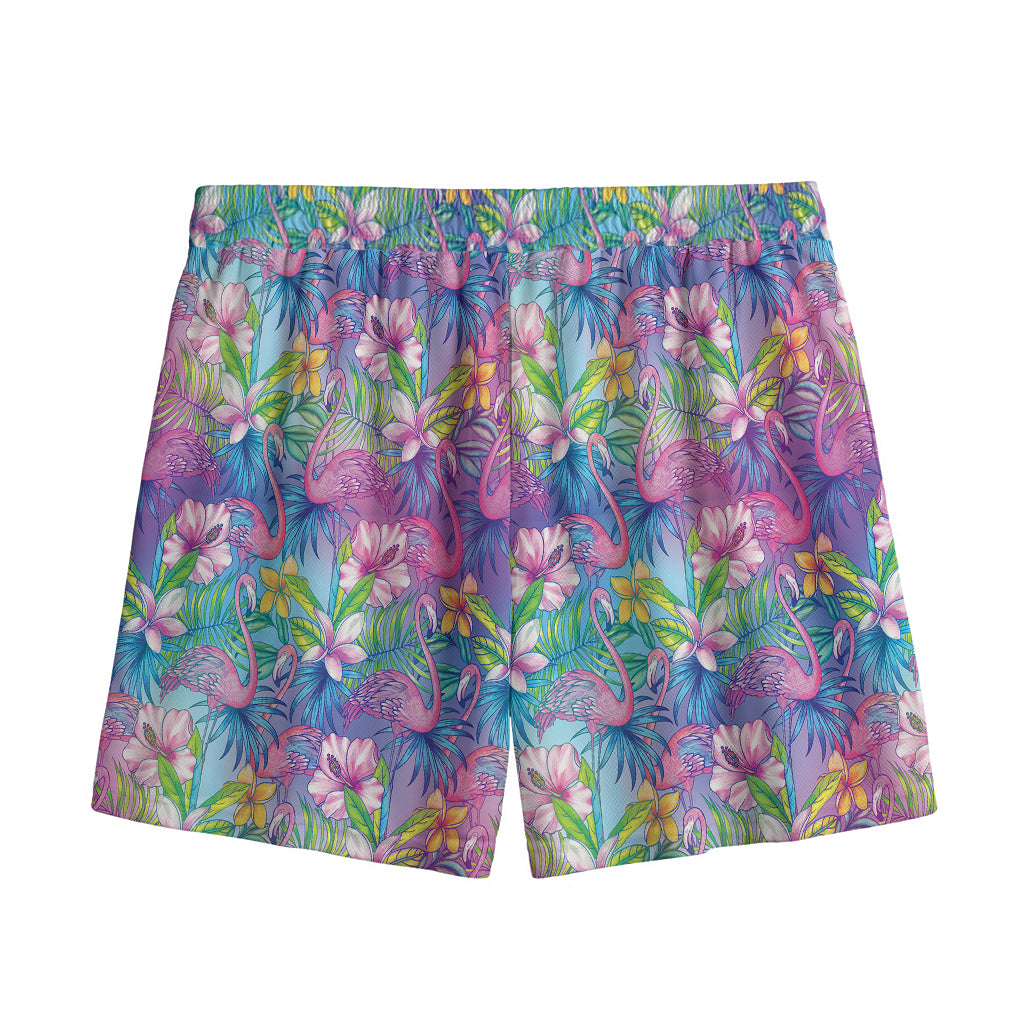 Colorful Tropical Flamingo Print Mesh Shorts