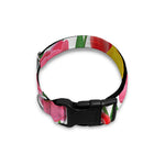 Colorful Tulip Pattern Print Dog Collar