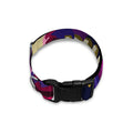 Colorful Tyrannosaurus Rex Print Dog Collar
