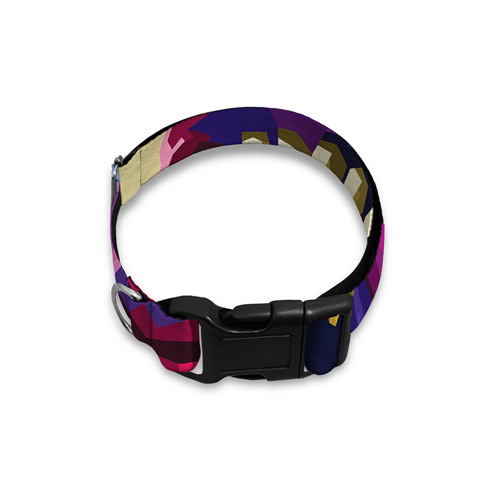 Colorful Tyrannosaurus Rex Print Dog Collar